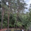 https://cdn-ostrovok-ru-ion.test.edgekey.net/t/100x100/hotel_review/fe/c5/fec515131223af8a6f20905e2ddc831d49e84ffe.JPEG