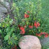 https://cdn-ostrovok-ru-ion.test.edgekey.net/t/100x100/hotel_review/fe/d7/fed78d223dae1b3e83007069b625eb83827302b3.JPEG