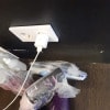 https://cdn-ostrovok-ru-ion.test.edgekey.net/t/100x100/hotel_review/fe/e4/fee45aa18e4268819b6a9d5fcc6349bf1e29017c.jpeg