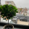https://cdn-ostrovok-ru-ion.test.edgekey.net/t/100x100/hotel_review/fe/e8/fee8b13a3412aa666180fc13a151e6aff1767ed7.JPEG