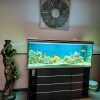 https://cdn-ostrovok-ru-ion.test.edgekey.net/t/100x100/hotel_review/ff/59/ff595ea0e5950024d5e4a9d4a24bc96072b3a0c8.JPEG