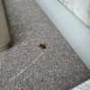 https://cdn-ostrovok-ru-ion.test.edgekey.net/t/100x100/hotel_review/ff/a1/ffa12a6d8ccb8a189aaff2f826de5d719fa26ee2.JPEG