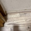 https://cdn-ostrovok-ru-ion.test.edgekey.net/t/100x100/hotel_review/ff/a7/ffa718af304d8aca263a091162d16707220df140.JPEG