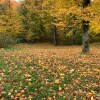 https://cdn-ostrovok-ru-ion.test.edgekey.net/t/100x100/hotel_review/ff/be/ffbefa14bf31150ed80c7ac75ca6b6b6d08f951e.JPEG