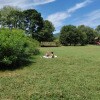 https://cdn-ostrovok-ru-ion.test.edgekey.net/t/100x100/hotel_review/ff/d2/ffd2388a275fba85104a44c86781fdbc81887fdf.JPEG