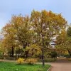 https://cdn-ostrovok-ru-ion.test.edgekey.net/t/100x100/hotel_review/zz/3a/ad3a1650256efc0c42a23e74189817b11073774f.jpeg