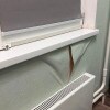 https://cdn-ostrovok-ru-ion.test.edgekey.net/t/100x100/hotel_review/zz/8d/ad8dcd01dab765c37aa8802503a498cac1e6570a.JPEG