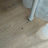 https://cdn-ostrovok-ru-ion.test.edgekey.net/t/100x100/hotel_review/zz/b7/adb7112304b0529fe48fce373d997269657f7dee.JPEG