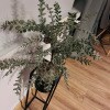 https://cdn-ostrovok-ru-ion.test.edgekey.net/t/100x100/hotel_review/zz/fb/adfb3f81acc21ed27194dc43677ccee555fa7cbd.jpeg