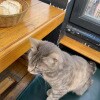 https://cdn-ostrovok-ru-ion.test.edgekey.net/t/100x100/ostrovok/08/f2/08f2679ad56e373a9778b96707aa78b082459a52.jpeg