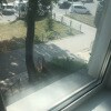 https://cdn-ostrovok-ru-ion.test.edgekey.net/t/100x100/ostrovok/09/cb/09cb338deeb88ce38d5f74dbe2ccc1741c353ed5.jpeg