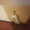 https://cdn-ostrovok-ru-ion.test.edgekey.net/t/100x100/ostrovok/0d/61/0d61048bc315ab77d59d9b7f8e11c0ef069df0c4.jpeg