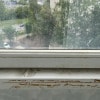 https://cdn-ostrovok-ru-ion.test.edgekey.net/t/100x100/ostrovok/0f/d8/0fd845070d3d78f63ad372f01559a6d8f29ff359.jpeg