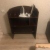 https://cdn-ostrovok-ru-ion.test.edgekey.net/t/100x100/ostrovok/15/07/15076563358c77edaa95ce6e4031ec3fe72be8e2.jpeg