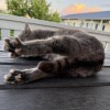 https://cdn-ostrovok-ru-ion.test.edgekey.net/t/100x100/ostrovok/17/67/17671dd09eb9ad8d202ae880d201d7d98840e60d.JPEG