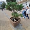 https://cdn-ostrovok-ru-ion.test.edgekey.net/t/100x100/ostrovok/19/3c/193cc7a00c00eb285a90bd51ddff2dc4067f7d17.JPEG