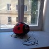 https://cdn-ostrovok-ru-ion.test.edgekey.net/t/100x100/ostrovok/1e/f7/1ef7024fa4bb4a4a088c0d2ef2a97ecf6a297b71.JPEG