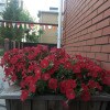https://cdn-ostrovok-ru-ion.test.edgekey.net/t/100x100/ostrovok/27/12/2712b1e7fad2e7e6bb60738e9bb62f1ebd780006.jpeg