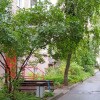 https://cdn-ostrovok-ru-ion.test.edgekey.net/t/100x100/ostrovok/34/78/3478839e782589ec9ec95b65c9e784950f7151be.jpeg