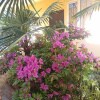 https://cdn-ostrovok-ru-ion.test.edgekey.net/t/100x100/ostrovok/3f/82/3f8211197e374f74a84548d97f9eb0167eef0983.jpeg