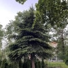 https://cdn-ostrovok-ru-ion.test.edgekey.net/t/100x100/ostrovok/44/5a/445a625717ff33051b817943cae077a1ee60409a.jpeg