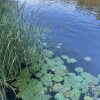 https://cdn-ostrovok-ru-ion.test.edgekey.net/t/100x100/ostrovok/57/05/5705ab682653362a57fd722c20c790a3a50ca972.JPEG