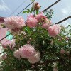 https://cdn-ostrovok-ru-ion.test.edgekey.net/t/100x100/ostrovok/5b/88/5b88e60a3e5268e46d9cc796b958e2b49e904163.jpeg