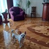 https://cdn-ostrovok-ru-ion.test.edgekey.net/t/100x100/ostrovok/5d/54/5d546f2c76595a2732defa520614662187a91633.jpeg