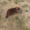 https://cdn-ostrovok-ru-ion.test.edgekey.net/t/100x100/ostrovok/60/07/600785af0de58d366fb322144cc01bb359f66717.jpeg