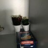 https://cdn-ostrovok-ru-ion.test.edgekey.net/t/100x100/ostrovok/63/36/6336c0b9646086a5bdc74481a9153ebabbcd5613.jpeg