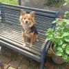 https://cdn-ostrovok-ru-ion.test.edgekey.net/t/100x100/ostrovok/6c/17/6c178c538135742855be56b59be5555be4a132d3.jpeg