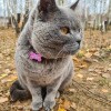 https://cdn-ostrovok-ru-ion.test.edgekey.net/t/100x100/ostrovok/6d/f1/6df1139f02f0d464e11ee084a2c9ae40b0952eb8.jpeg