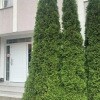 https://cdn-ostrovok-ru-ion.test.edgekey.net/t/100x100/ostrovok/74/d8/74d805bf3f1013972a93bbe83acff13ea652839a.jpeg