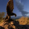 https://cdn-ostrovok-ru-ion.test.edgekey.net/t/100x100/ostrovok/97/2c/972c0b3ccf77953005556131765a002a13484aeb.jpeg