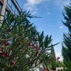 https://cdn-ostrovok-ru-ion.test.edgekey.net/t/100x100/ostrovok/99/59/995947928e051d794093d77bfd3f6800a29d0248.jpeg