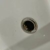 https://cdn-ostrovok-ru-ion.test.edgekey.net/t/100x100/ostrovok/9e/2e/9e2e3aab460abaa5049368c8b5485da6528eda07.JPEG