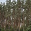 https://cdn-ostrovok-ru-ion.test.edgekey.net/t/100x100/ostrovok/a9/49/a9499eac35fe499ae3b68db5392c36cdae44ffdb.JPEG