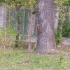 https://cdn-ostrovok-ru-ion.test.edgekey.net/t/100x100/ostrovok/af/a3/afa39e76bc84edbaa1f6a7871542dbb5b4695c8d.jpeg