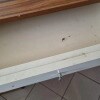 https://cdn-ostrovok-ru-ion.test.edgekey.net/t/100x100/ostrovok/b1/f6/b1f6c8db7a023edd6006c0174fa4d6dd52e84e44.jpeg