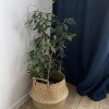 https://cdn-ostrovok-ru-ion.test.edgekey.net/t/100x100/ostrovok/ba/1e/ba1e0bff027ada4fc07668da182dc3b936ce1b02.jpeg