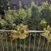 https://cdn-ostrovok-ru-ion.test.edgekey.net/t/100x100/ostrovok/c0/6e/c06ec5215be56d8377ee669a522d91551f3d148e.jpeg
