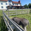 https://cdn-ostrovok-ru-ion.test.edgekey.net/t/100x100/ostrovok/cc/ed/cced3c4796747317409804973eb003c31dc128d2.jpeg