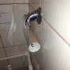 https://cdn-ostrovok-ru-ion.test.edgekey.net/t/100x100/ostrovok/d0/bc/d0bcd37e5a3f58f4f7a558e65baa971f827bc95b.jpeg