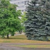 https://cdn-ostrovok-ru-ion.test.edgekey.net/t/100x100/ostrovok/d2/91/d291a5ef5a171712d907e801288324c02f2b289d.jpeg
