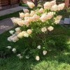 https://cdn-ostrovok-ru-ion.test.edgekey.net/t/100x100/ostrovok/d9/0a/d90a637603806ef089919cb5a6b13eaef3a0be3e.jpeg