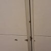 https://cdn-ostrovok-ru-ion.test.edgekey.net/t/100x100/ostrovok/e9/1a/e91aa2d20765da86174d016a4b351810126fd575.jpeg
