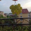 https://cdn-ostrovok-ru-ion.test.edgekey.net/t/100x100/ostrovok/e9/64/e964eb833ce8af29579028c91a18cca5157f93e6.jpeg