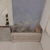 https://cdn-ostrovok-ru-ion.test.edgekey.net/t/100x100/ostrovok/f4/b5/f4b545dad30fe9ba3dda7a97dcd0d5c47eaae129.jpeg