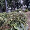 https://cdn-ostrovok-ru-ion.test.edgekey.net/t/100x100/ostrovok/f5/f9/f5f9eadaae5b7252861c0e74ebb3f8b807a01e8b.jpeg