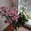 https://cdn-ostrovok-ru-ion.test.edgekey.net/t/100x100/ostrovok/fc/e2/fce2799934cb19606d1c1217377a1fcc341fad95.JPEG
